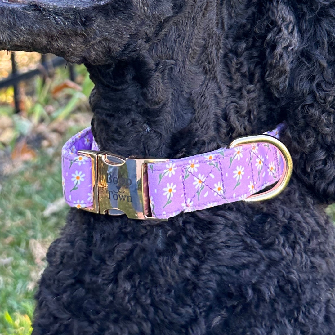 Boop Town Lavender Haze Dog Collar