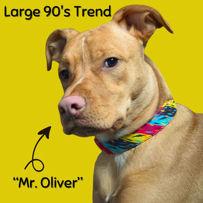 Dog wearing a colorful Boop Town Collection collar with 'Large 90's Trend' and 'Mr. Oliver' text on a yellow background