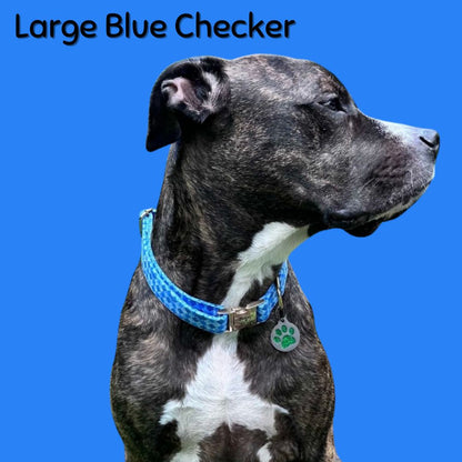 Dog wearing a blue Boop Town Collection collar with a paw print tag on a blue background