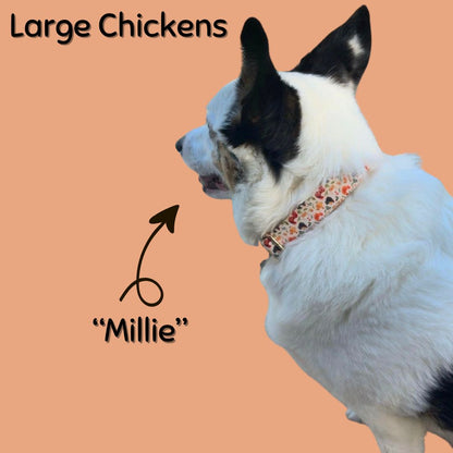 Dog named 'Millie' with a large Boop Town Collection chicken collar labeled 'Large Chickens' on an orange background