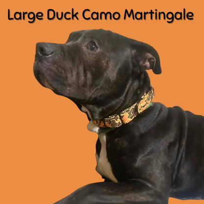 Black dog wearing a large Boop Town Collection duck camo martingale collar with black metal buckle on an orange background