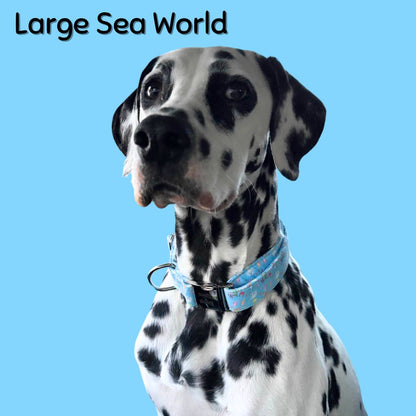 Dalmatian dog wearing a blue Boop Town Collection collar with a clear background and 'Large Sea World' text.