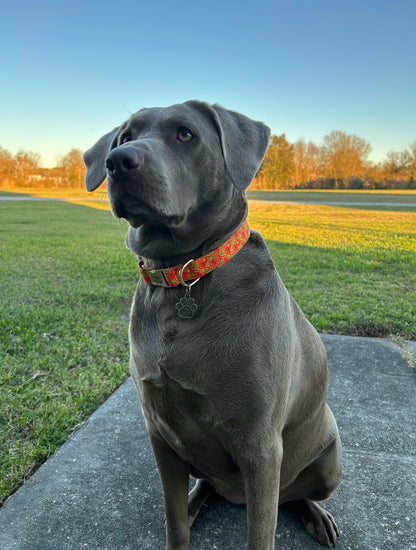 Boop Town Soft Cotton Dog Collar with Metal Buckle