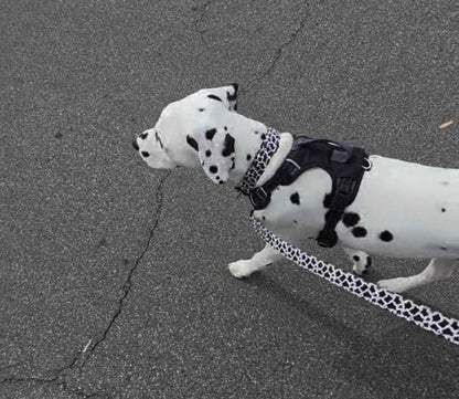 Boop Town Soft Cotton Dog Collar with Metal Buckle