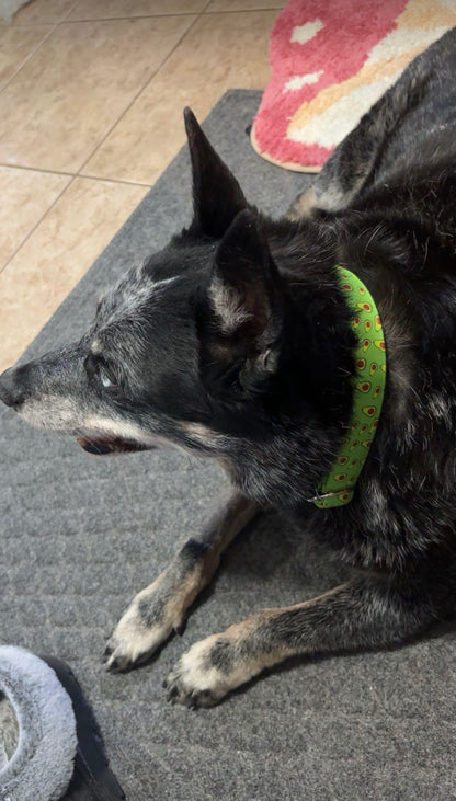 Boop Town Soft Cotton Dog Collar with Metal Buckle