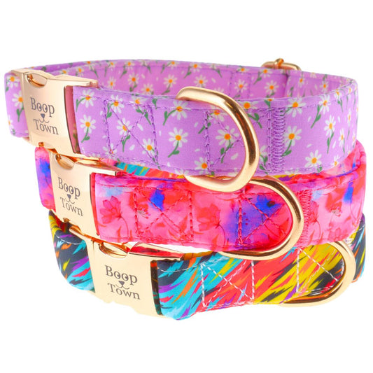 Dog Collars