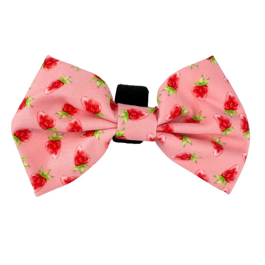 100% Cotton Dog Bow Tie with Easy Collar Attachment | Universal Soft Adjustable Pet Bows Size 2 ¾" × 4 ⅓"