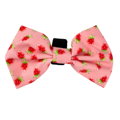 100% Cotton Dog Bow Tie with Easy Collar Attachment | Universal Soft Adjustable Pet Bows Size 2 ¾" × 4 ⅓"